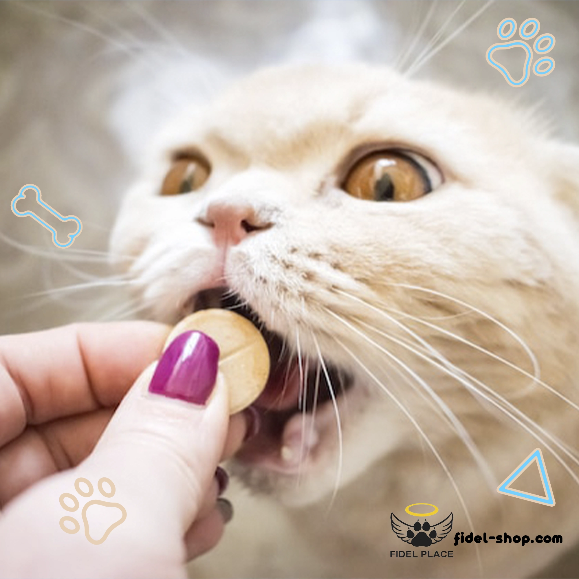 قرص تشویقی گربه جیم کت