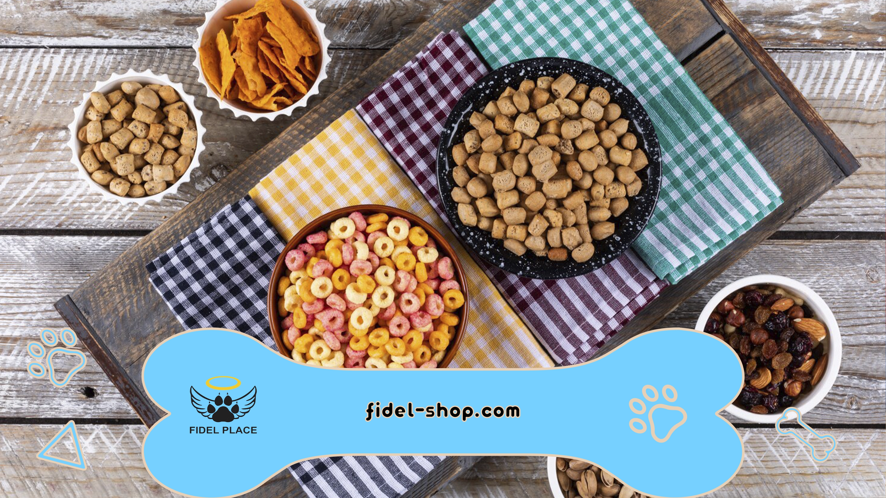  غذای گربه خانگی