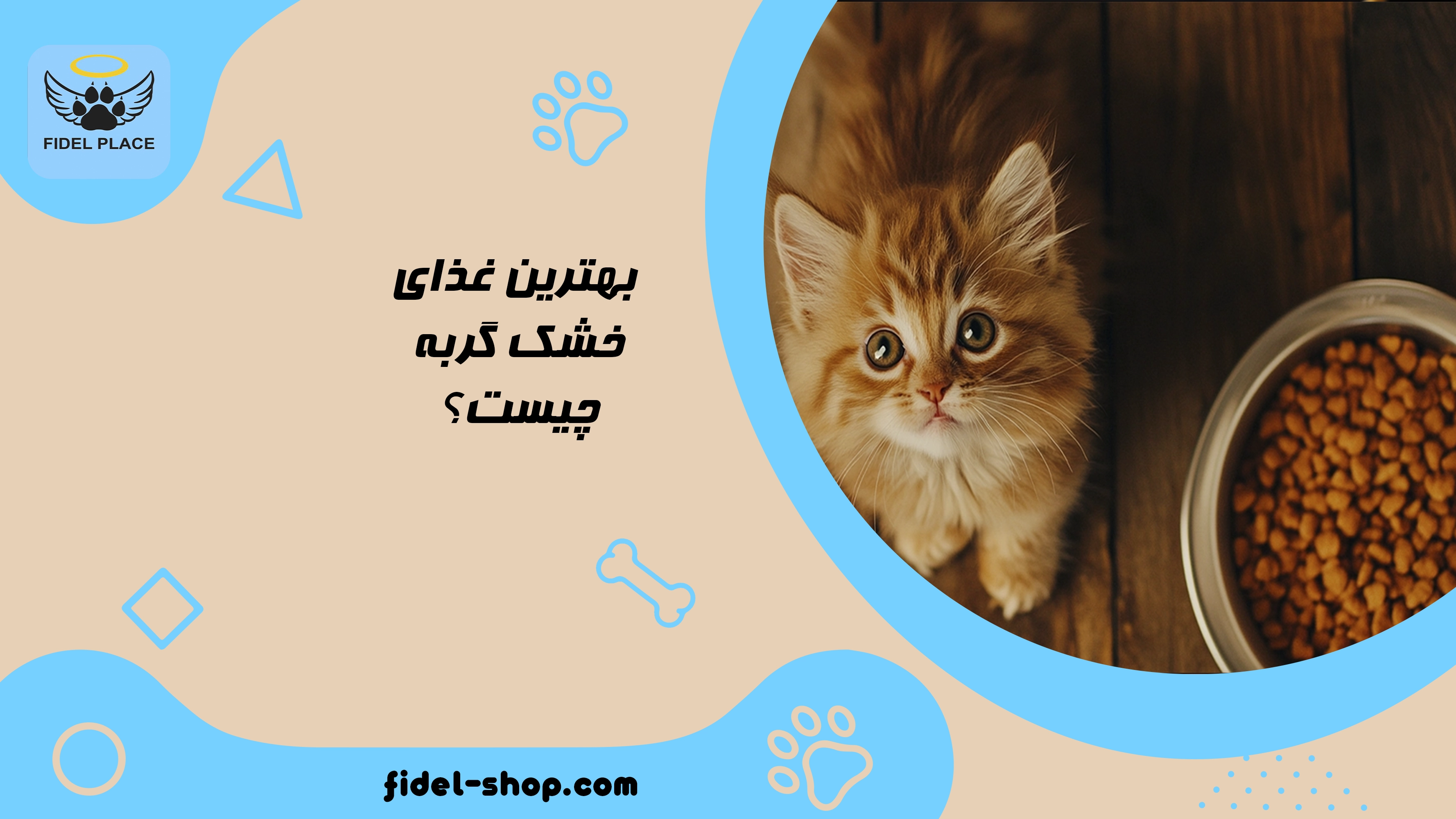 بهترین غذای خشک گربه
