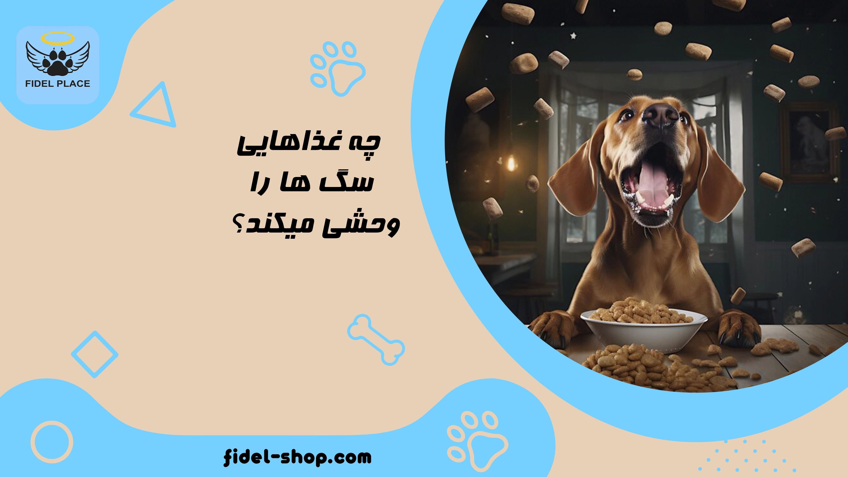 غذاهایی که سگ ها را وحشی میکند