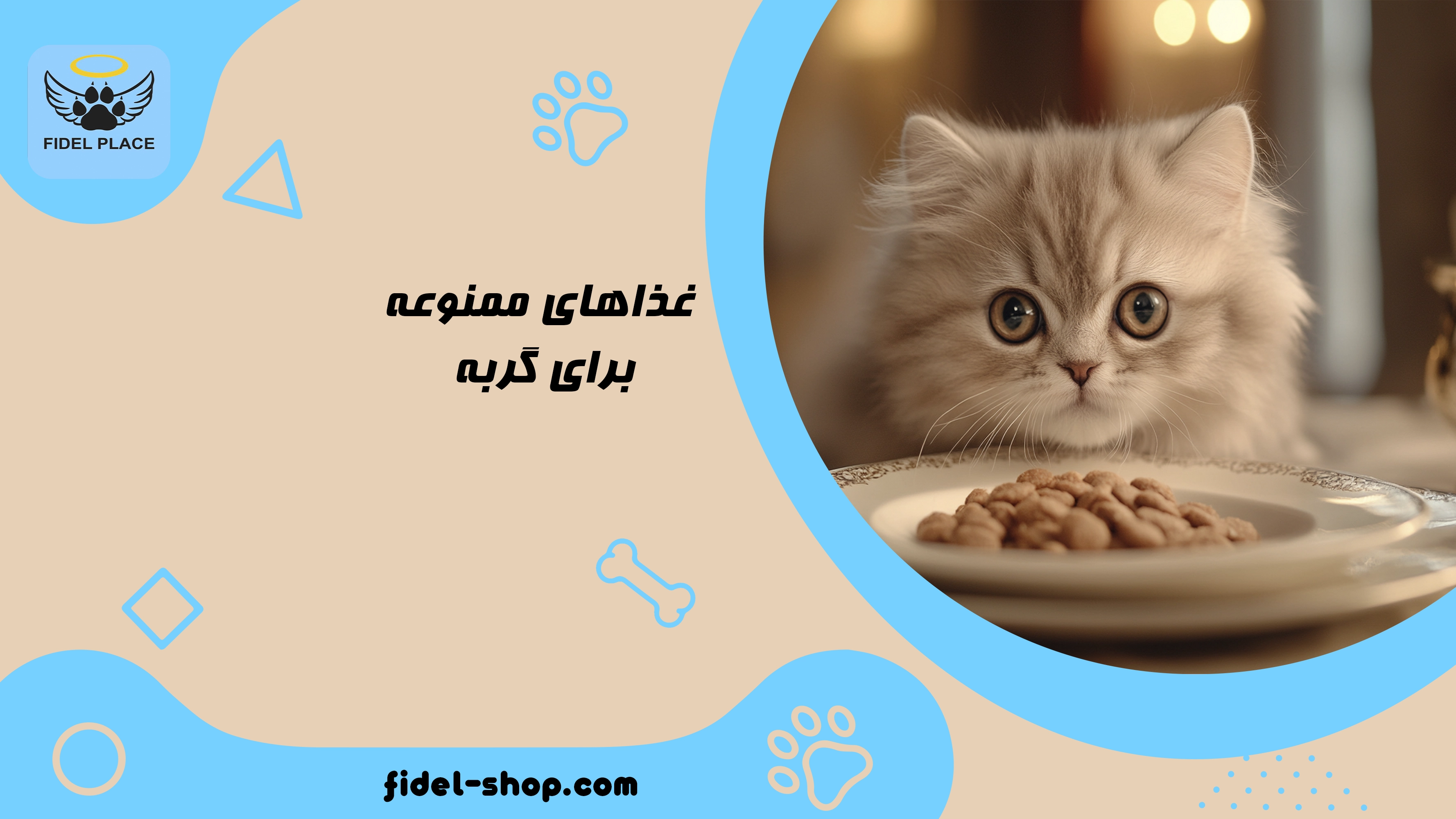 راهنمای کامل غذاهای ممنوعه برای گربه