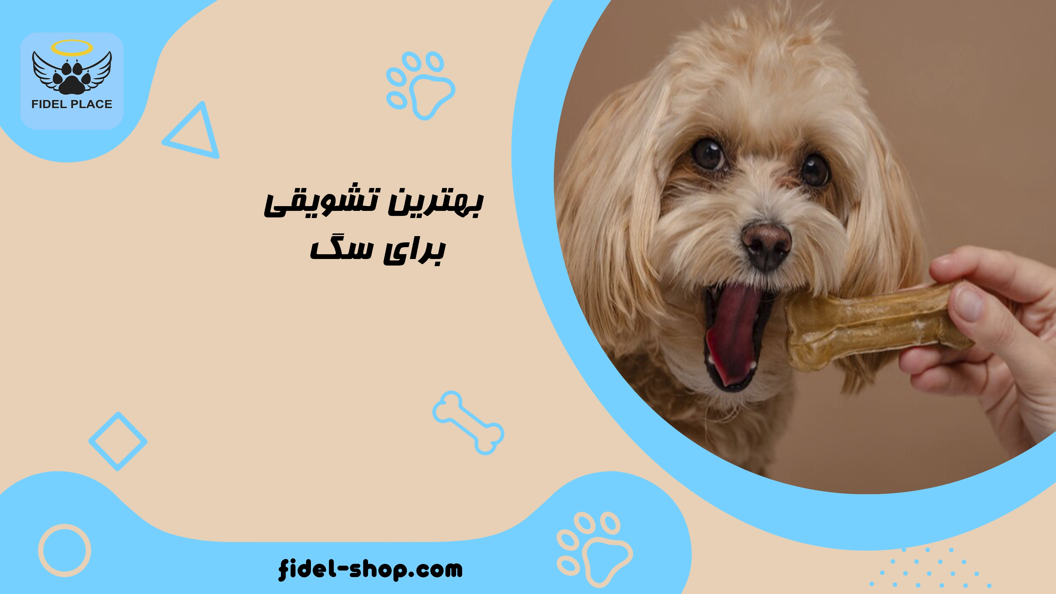 بهترین تشویقی برای سگ
