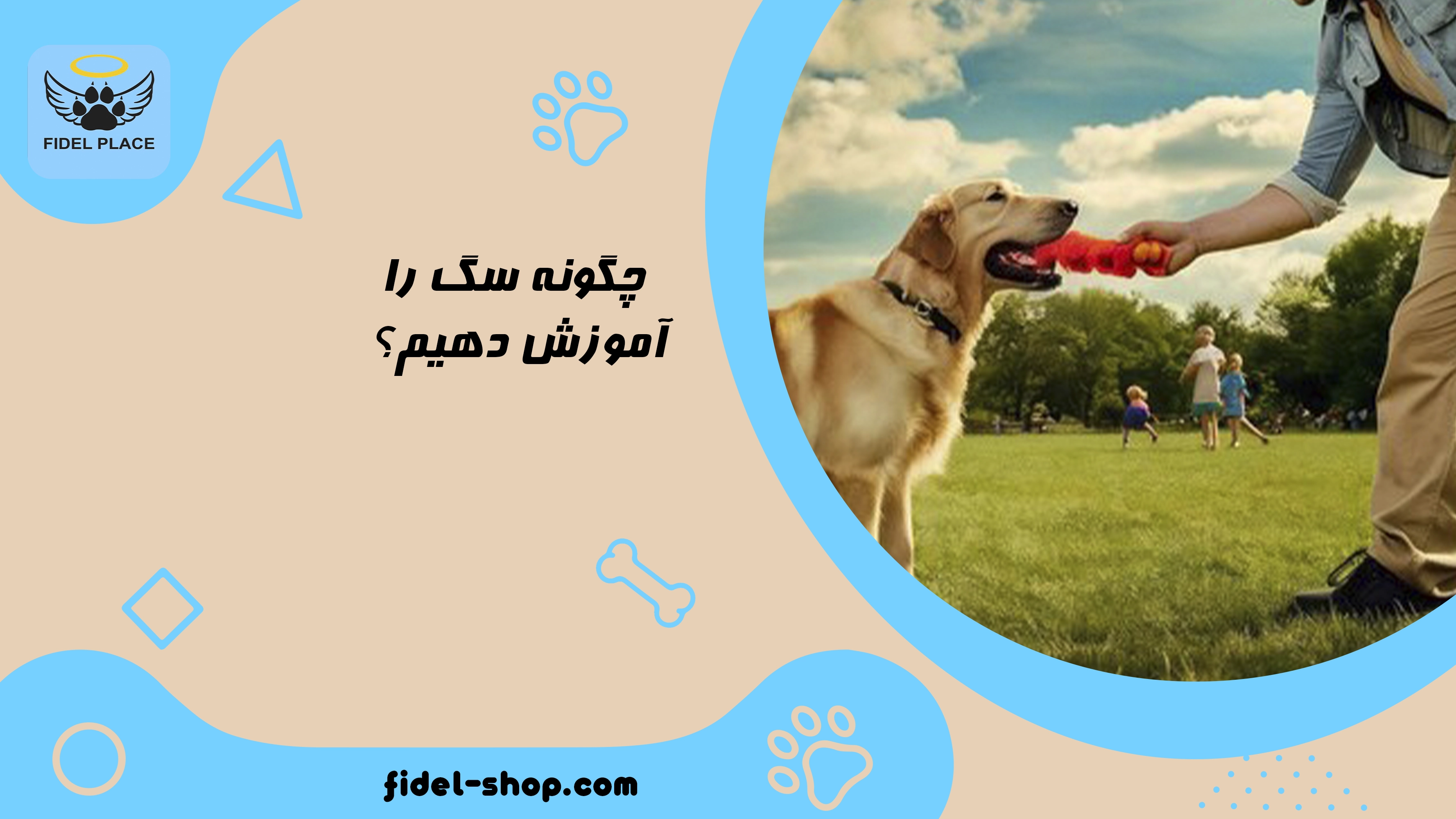 بهترین تشویقی برای آموزش سگ