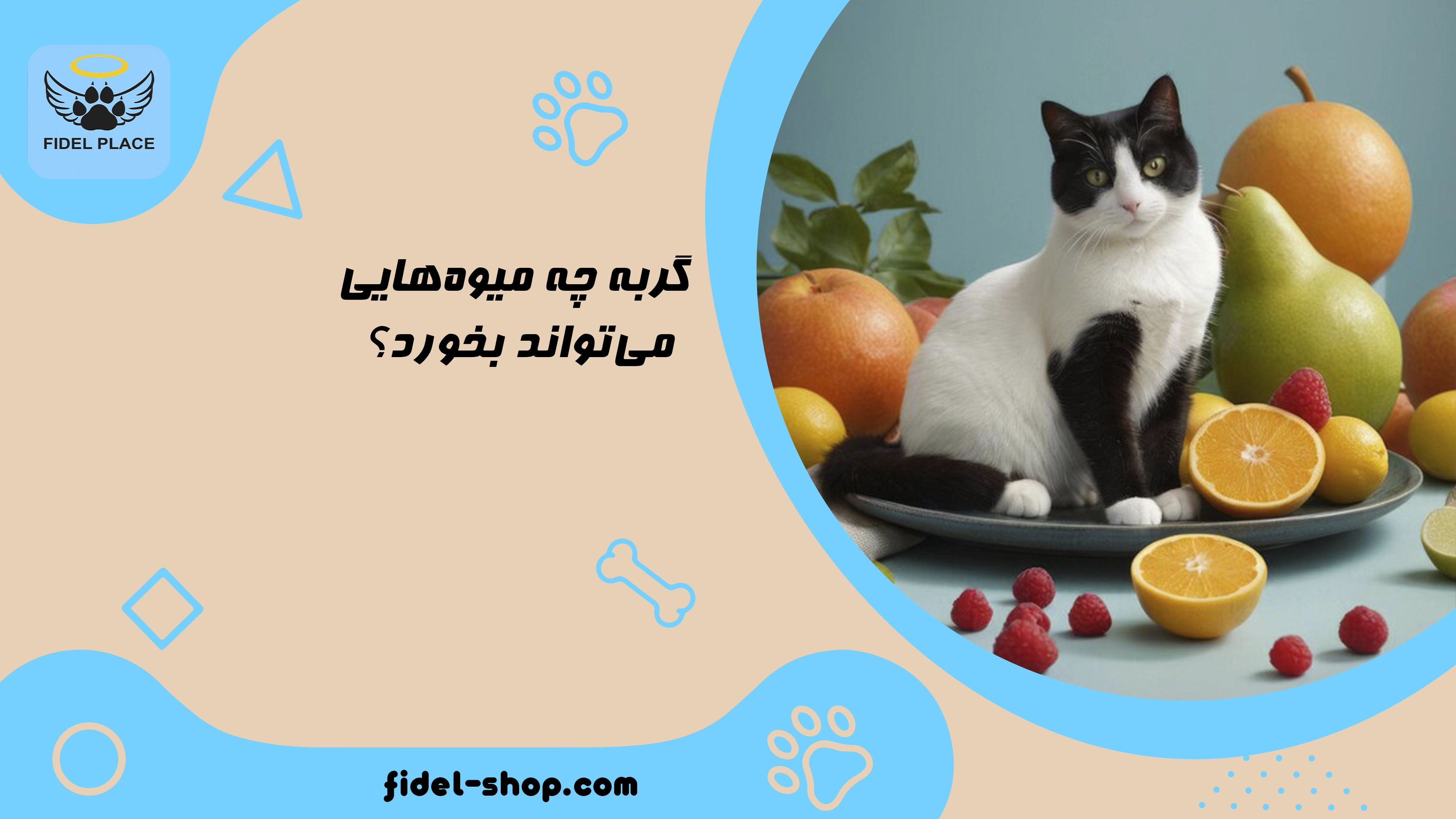 لیست میوه‌های مجاز و ممنوع