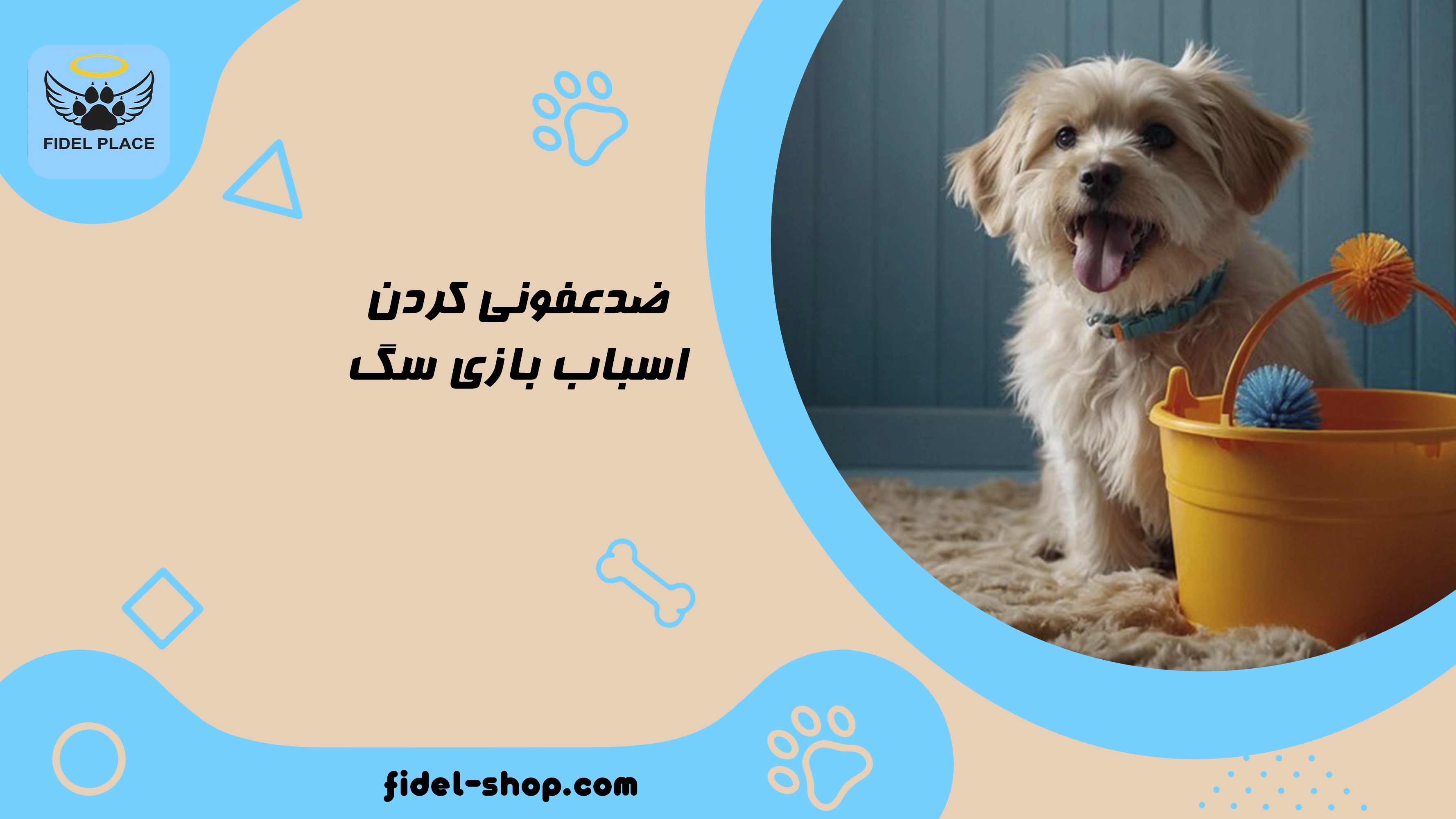ضدعفونی کردن اسباب بازی سگ