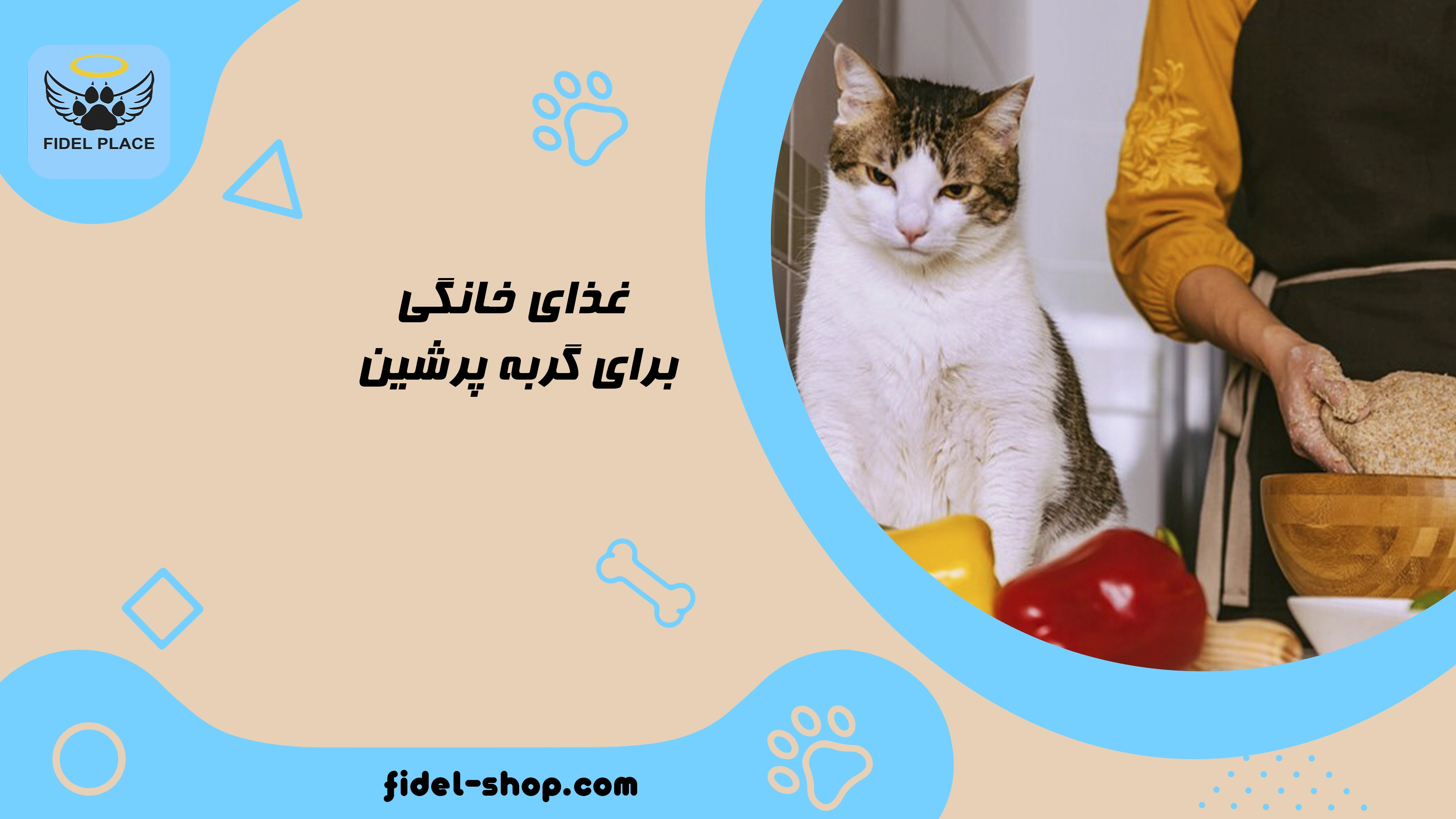 طرز تهیه غذای خانگی برای گربه پرشین
