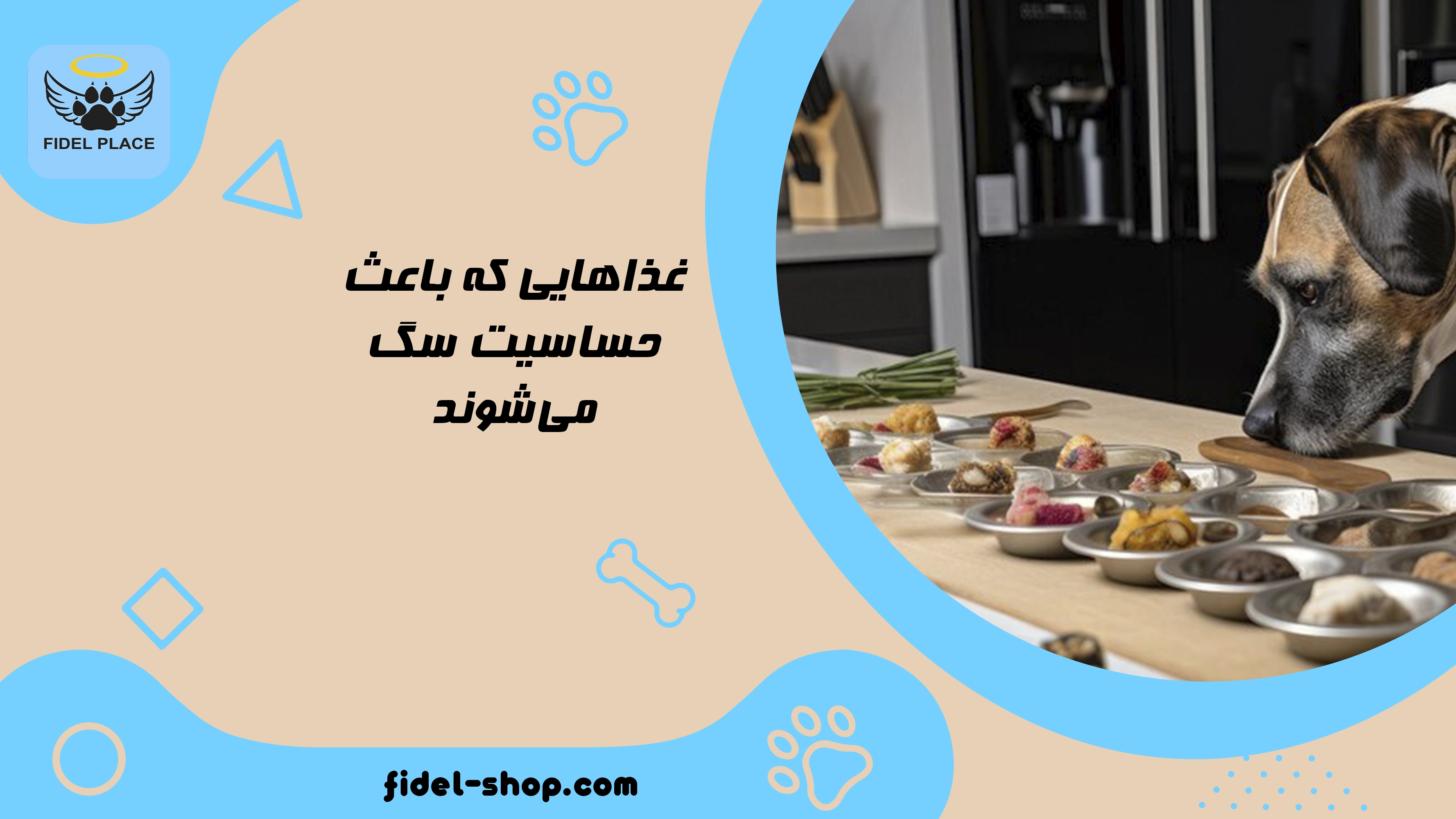 غذاهایی که باعث حساسیت سگ می‌شوند