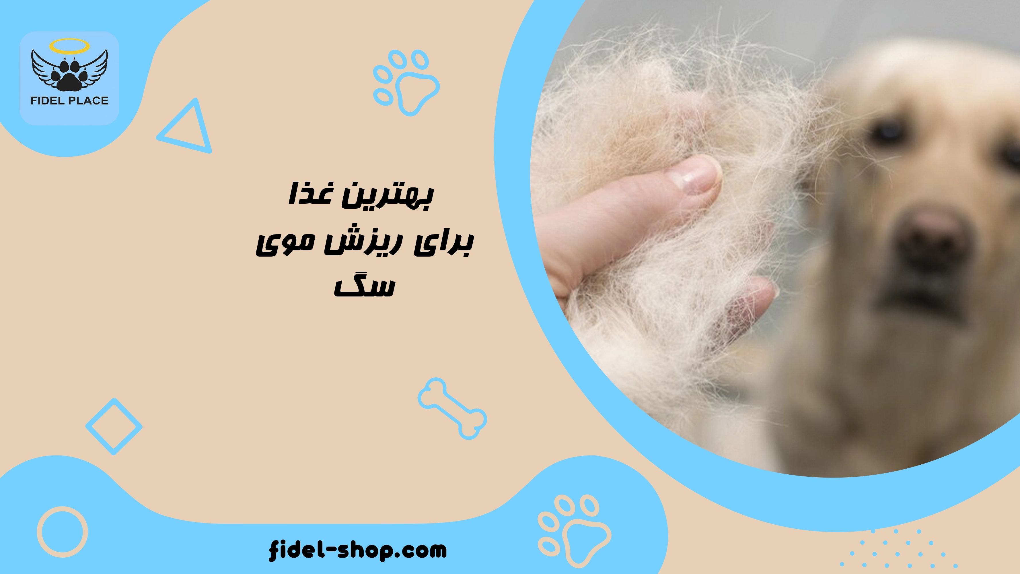 بهترین غذا برای ریزش موی سگ