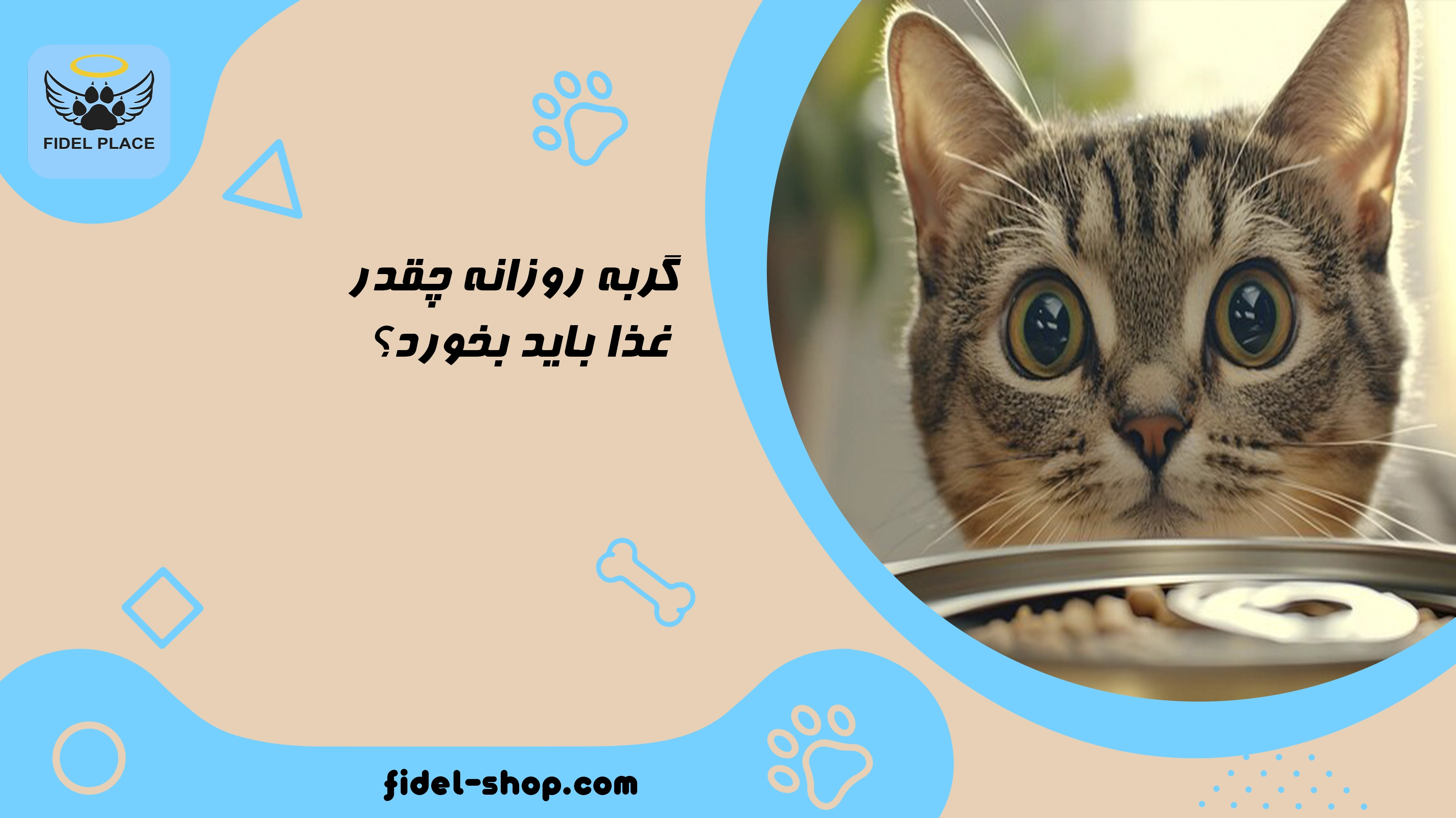مقدار غذا بر اساس وزن