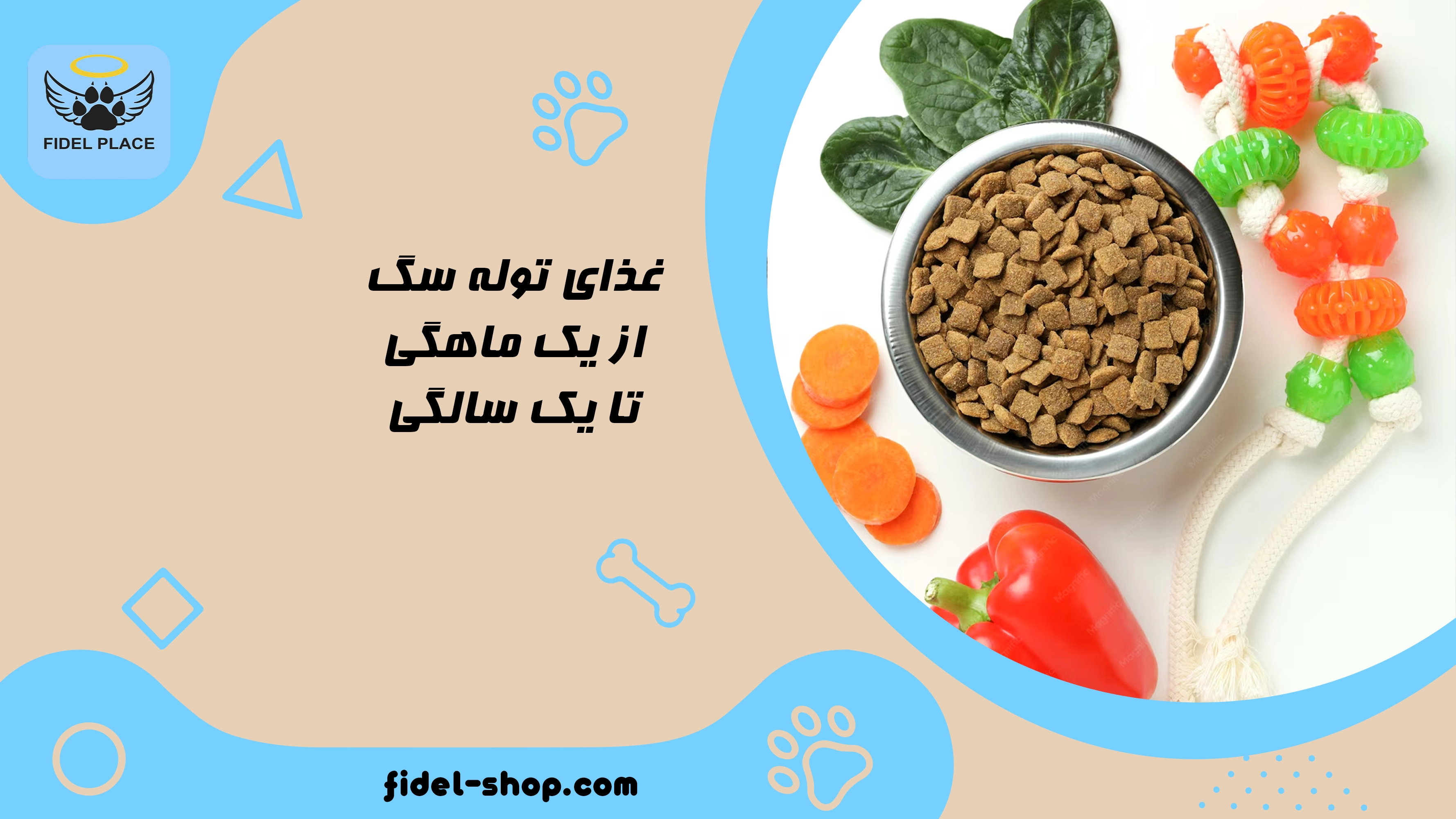 غذای توله سگ