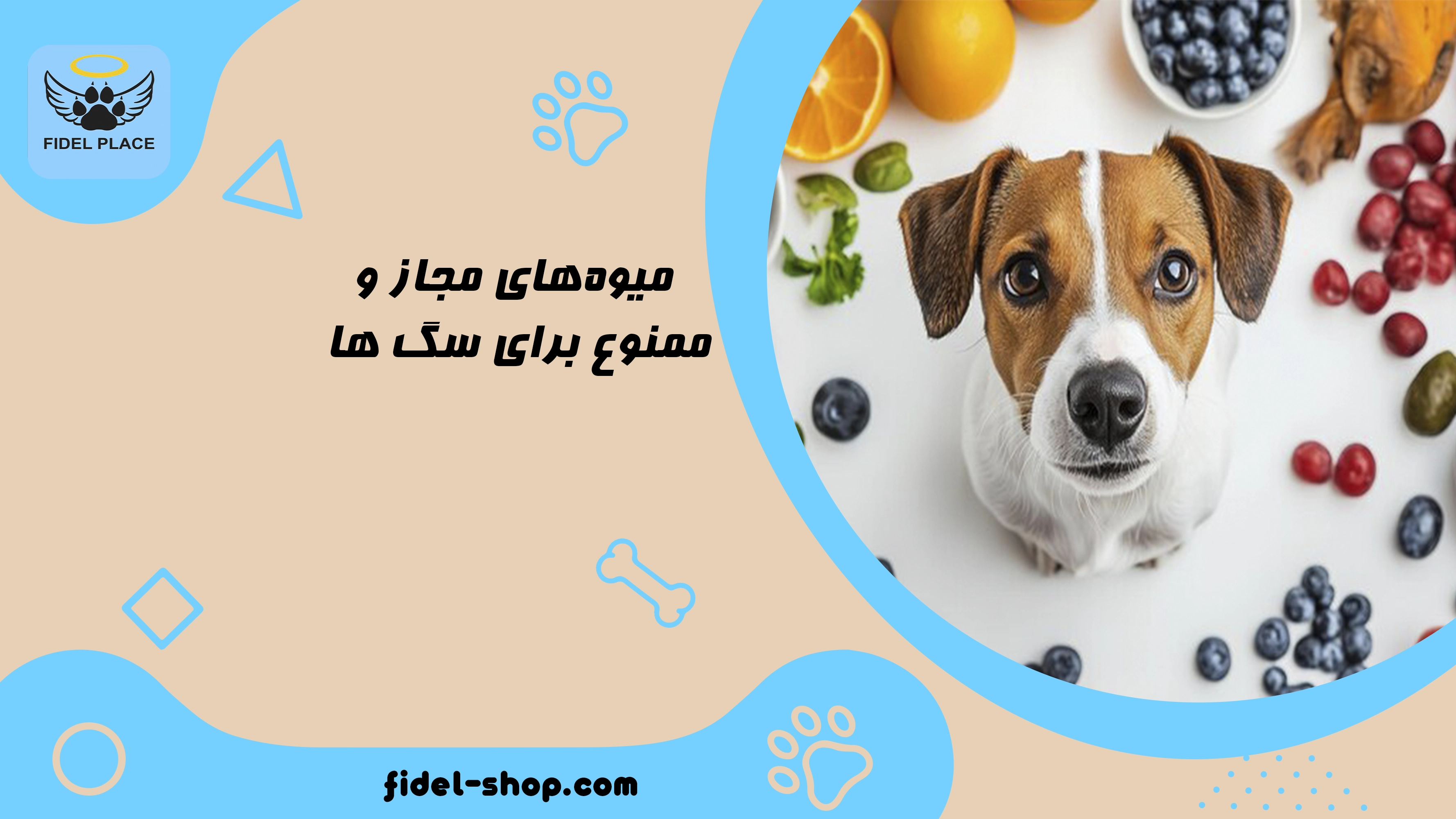 سگ چه میوه‌هایی می‌تواند بخورد
