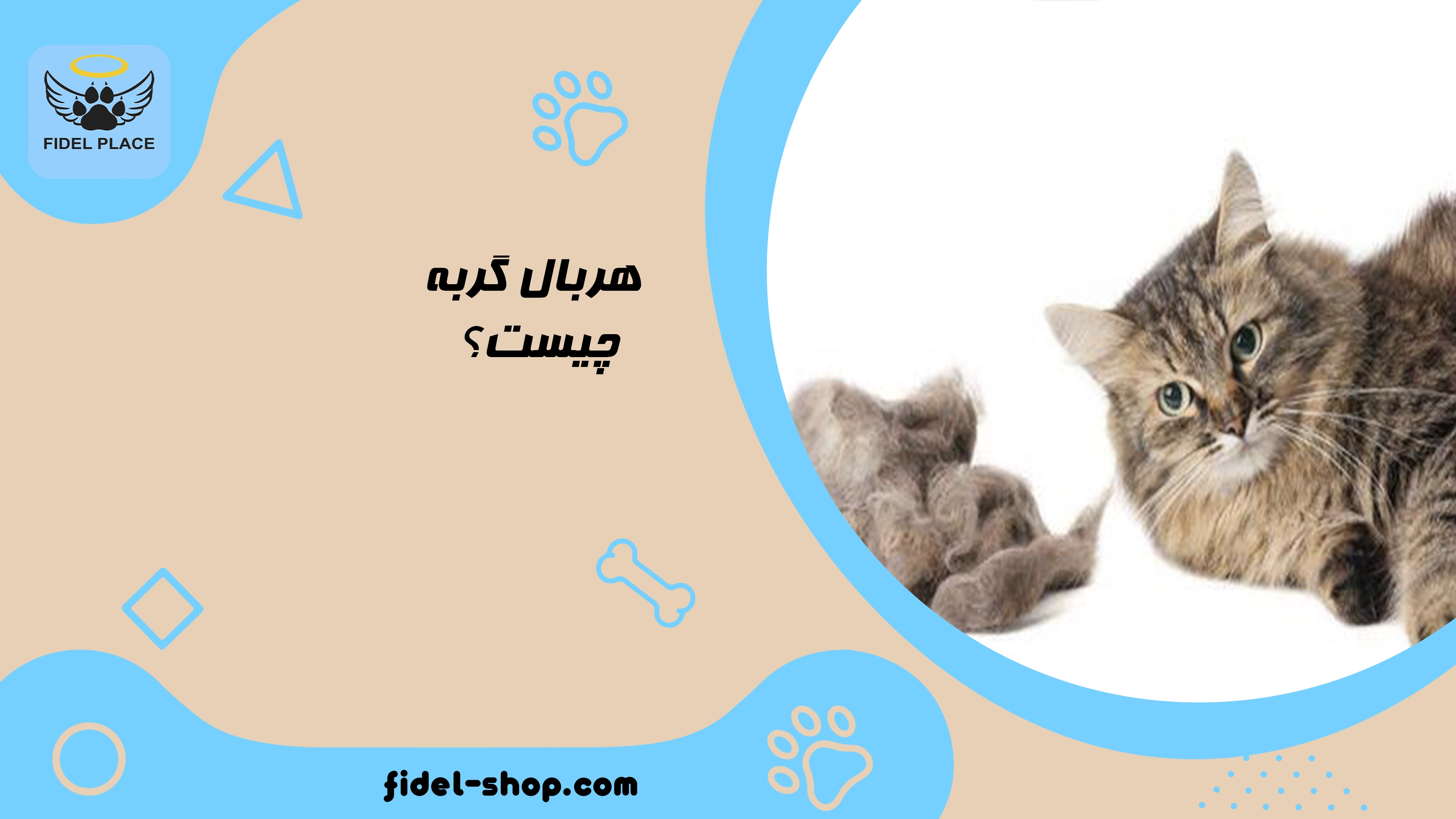 هربال گربه