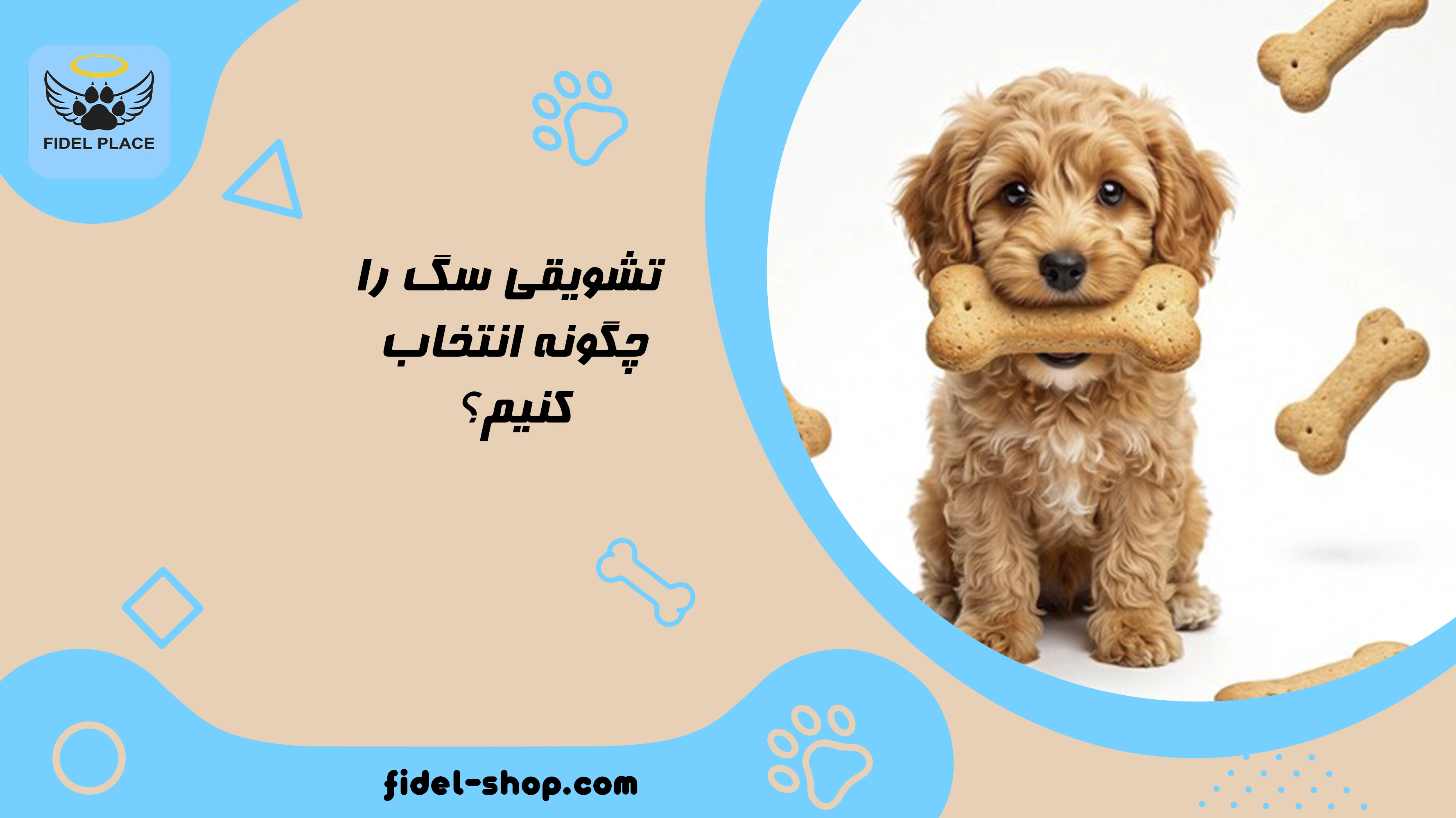 تشویقی سگ را چگونه انتخاب کنیم؟