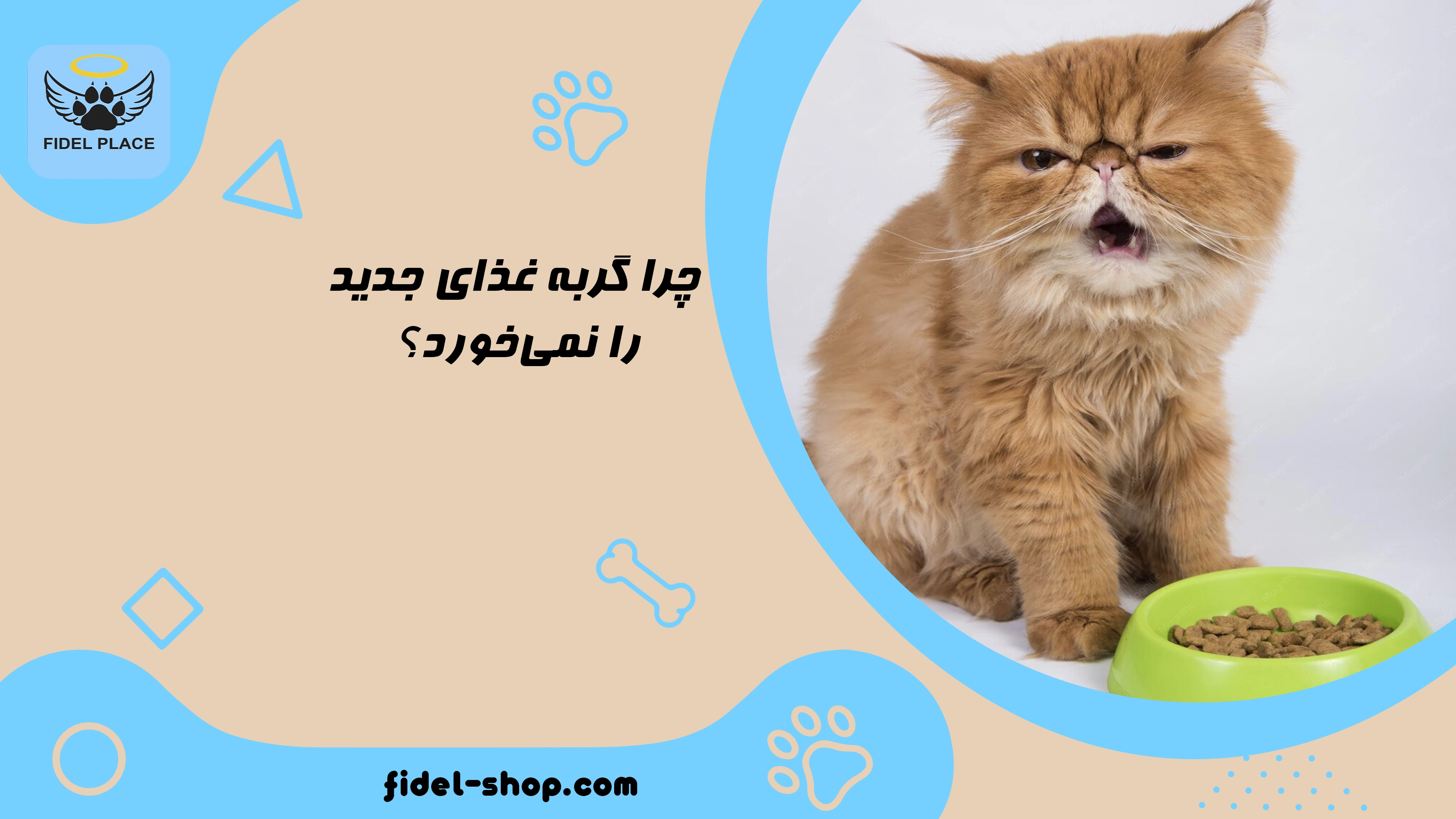  روش تغییر غذای گربه بدون بدغذایی