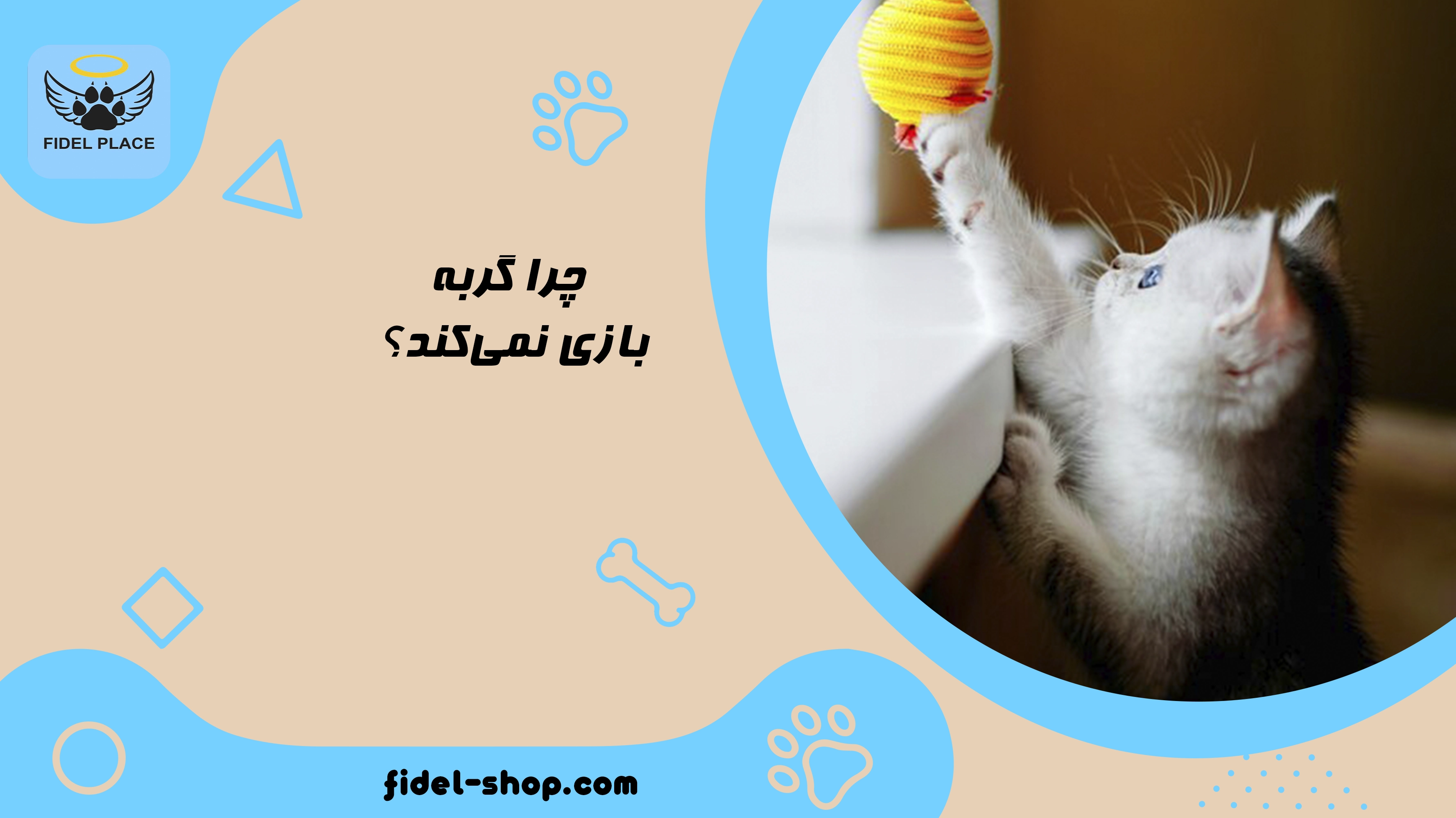 علت بی‌علاقگی گربه به اسباب‌بازی