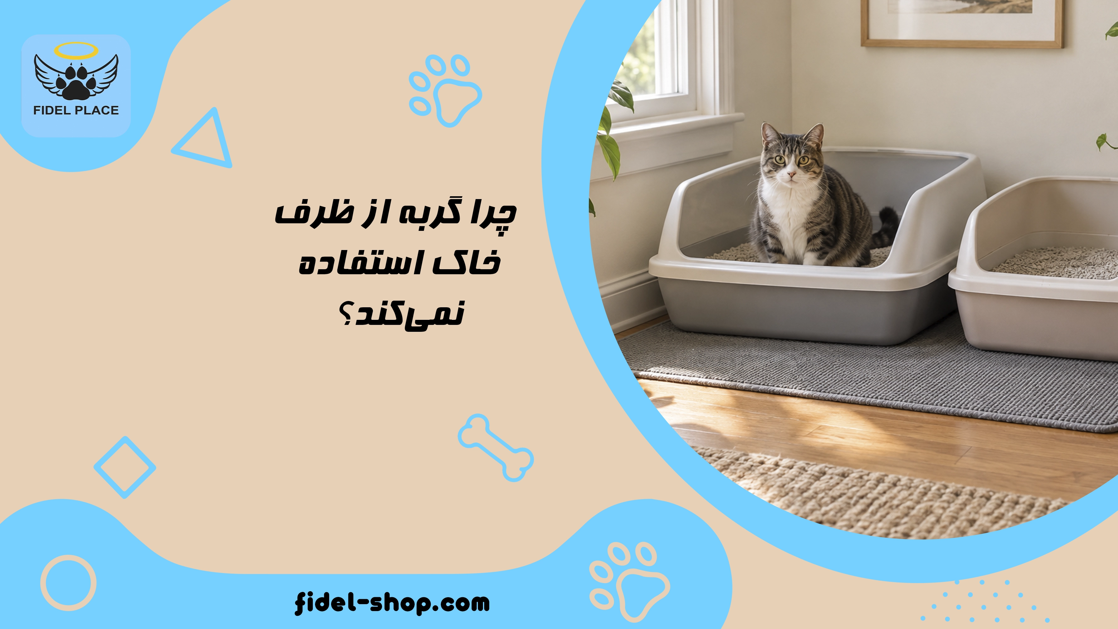 چرا گربه از ظرف خاک استفاده نمی‌کند؟
