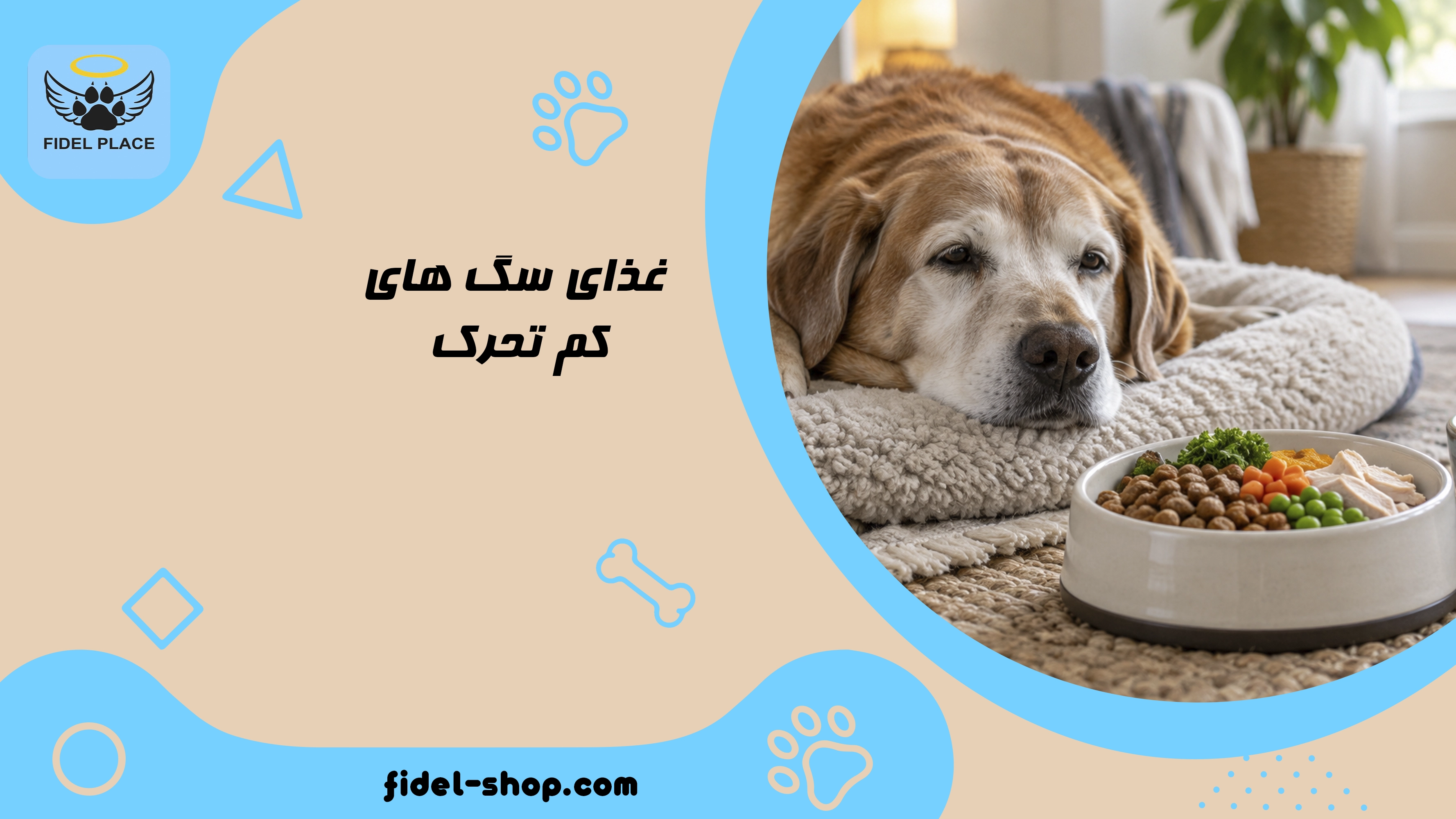 غذای سگ های کم تحرک