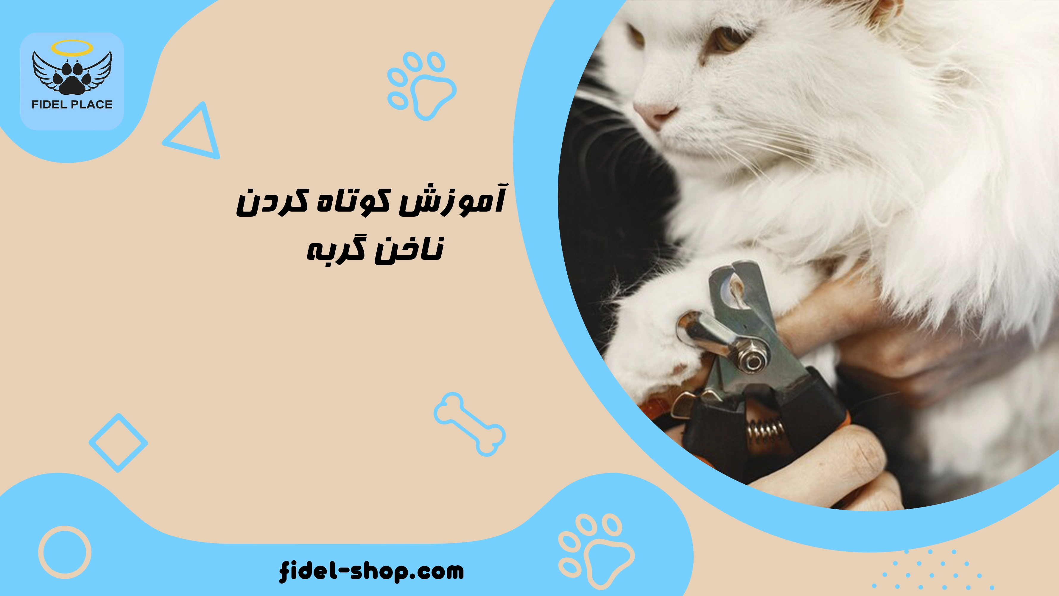 چگونه ناخن گربه را کوتاه کنیم