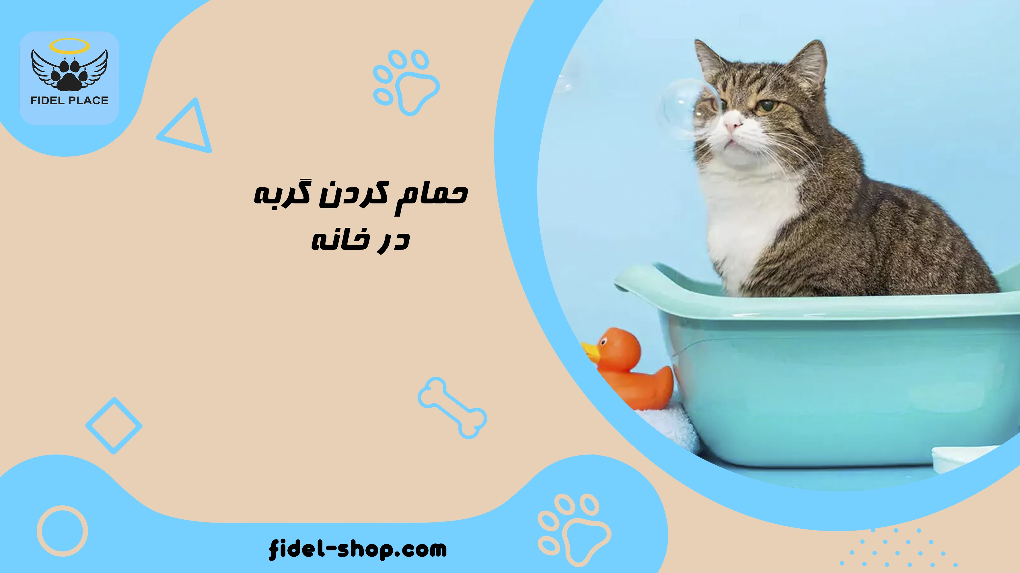 راهنمای حمام کردن گربه در خانه
