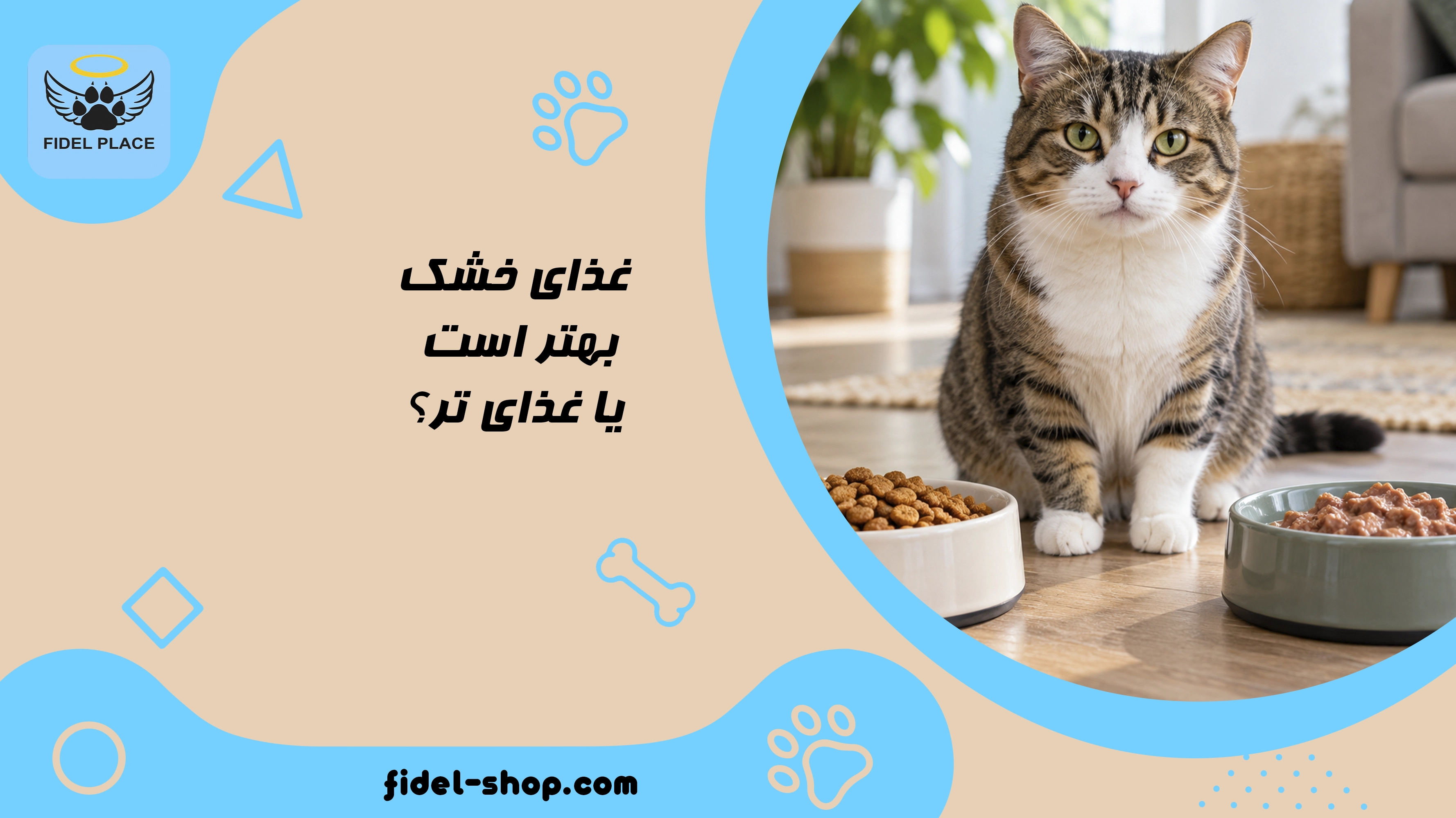 غذای خشک بهتر است یا غذای تر برای گربه