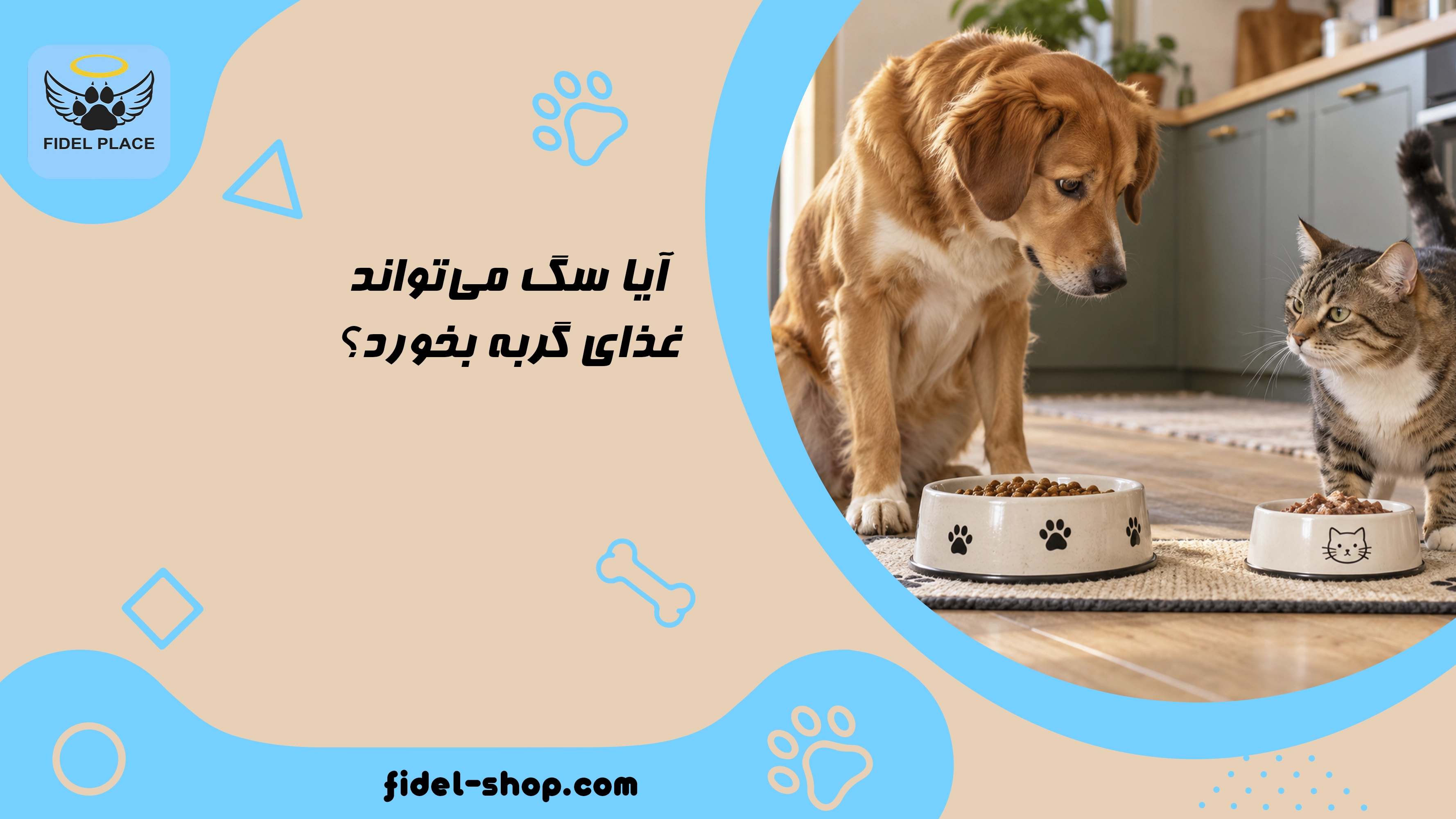 بررسی عوارض و تفاوت غذای سگ و گربه