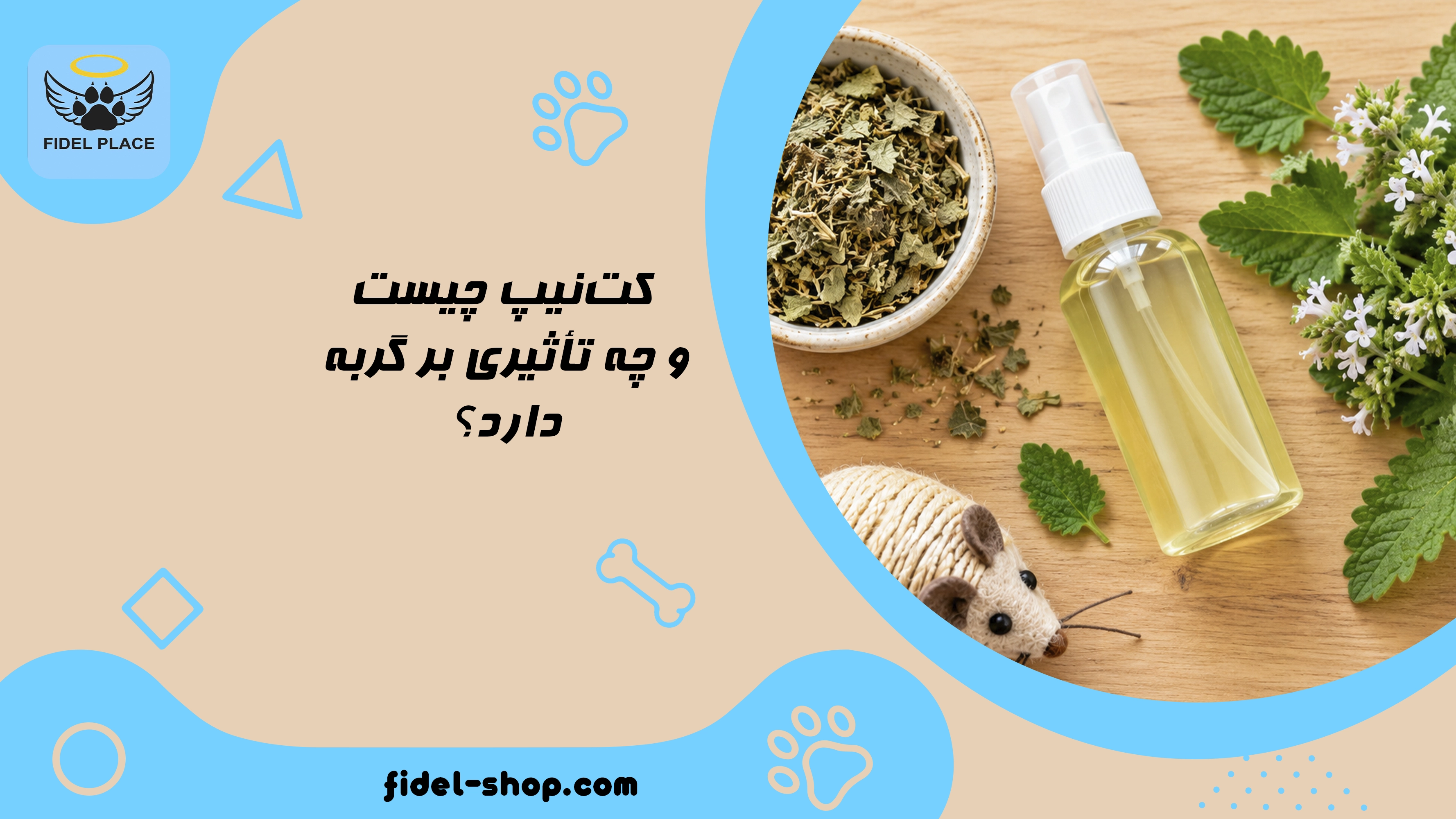 فواید، عوارض و روش صحیح استفاده از کت‌نیپ 