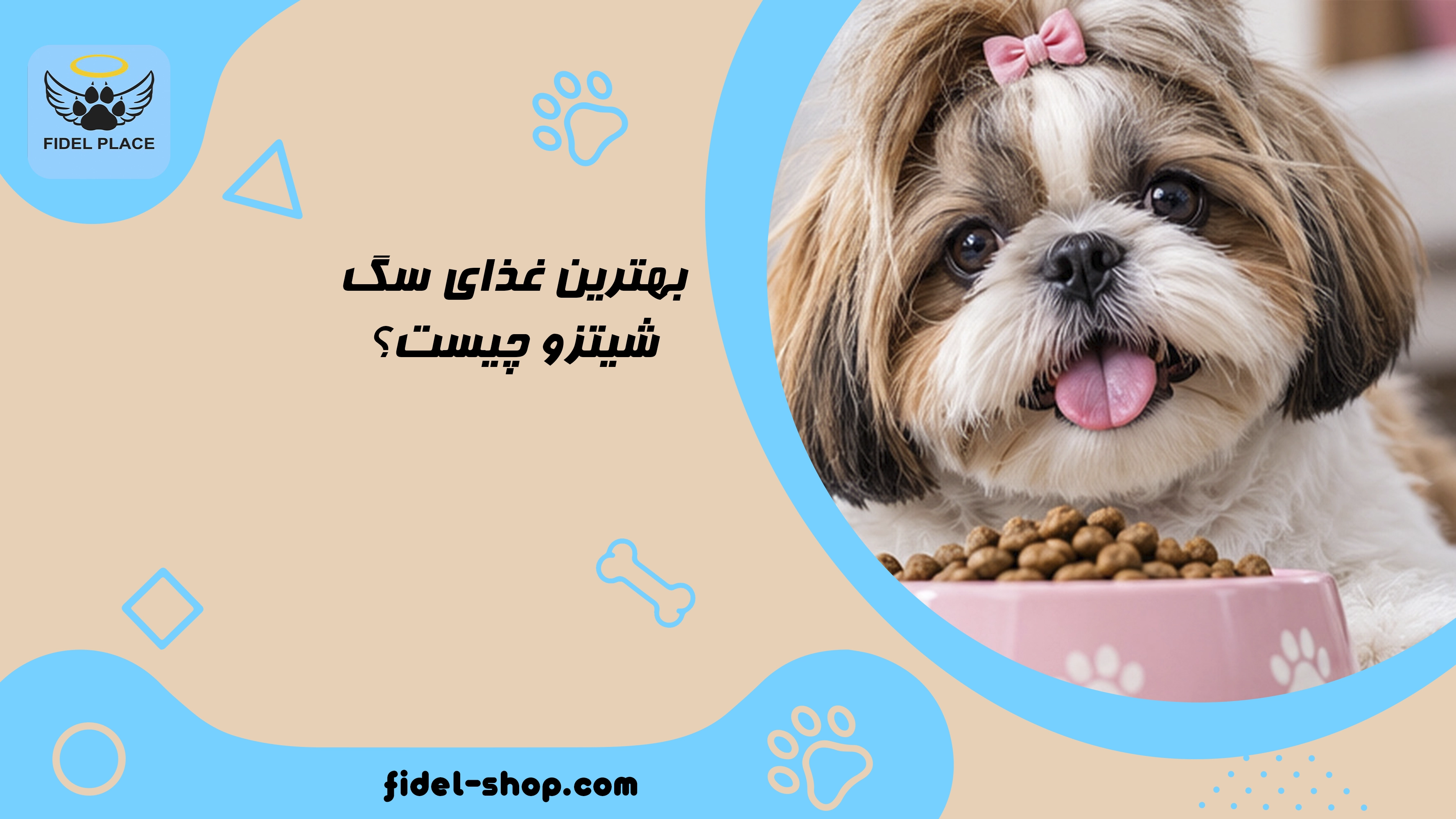 راهنمای انتخاب غذای خشک برای توله و سگ بالغ