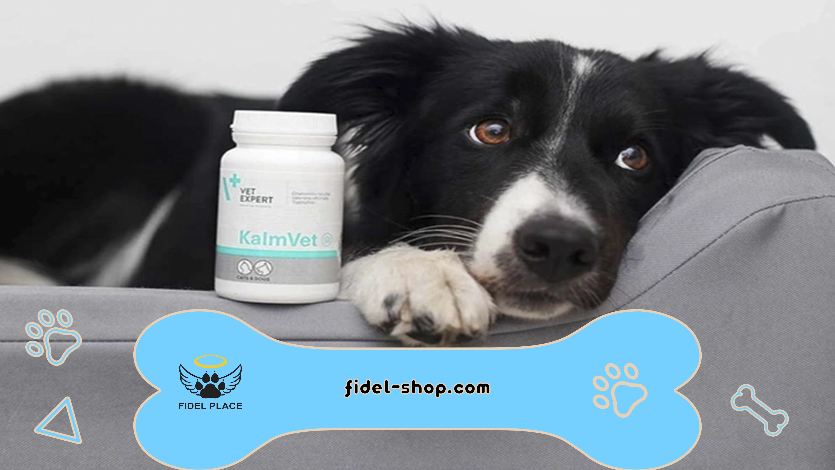 خرید مکمل کلیه Renaminpur از فیدلشاپ