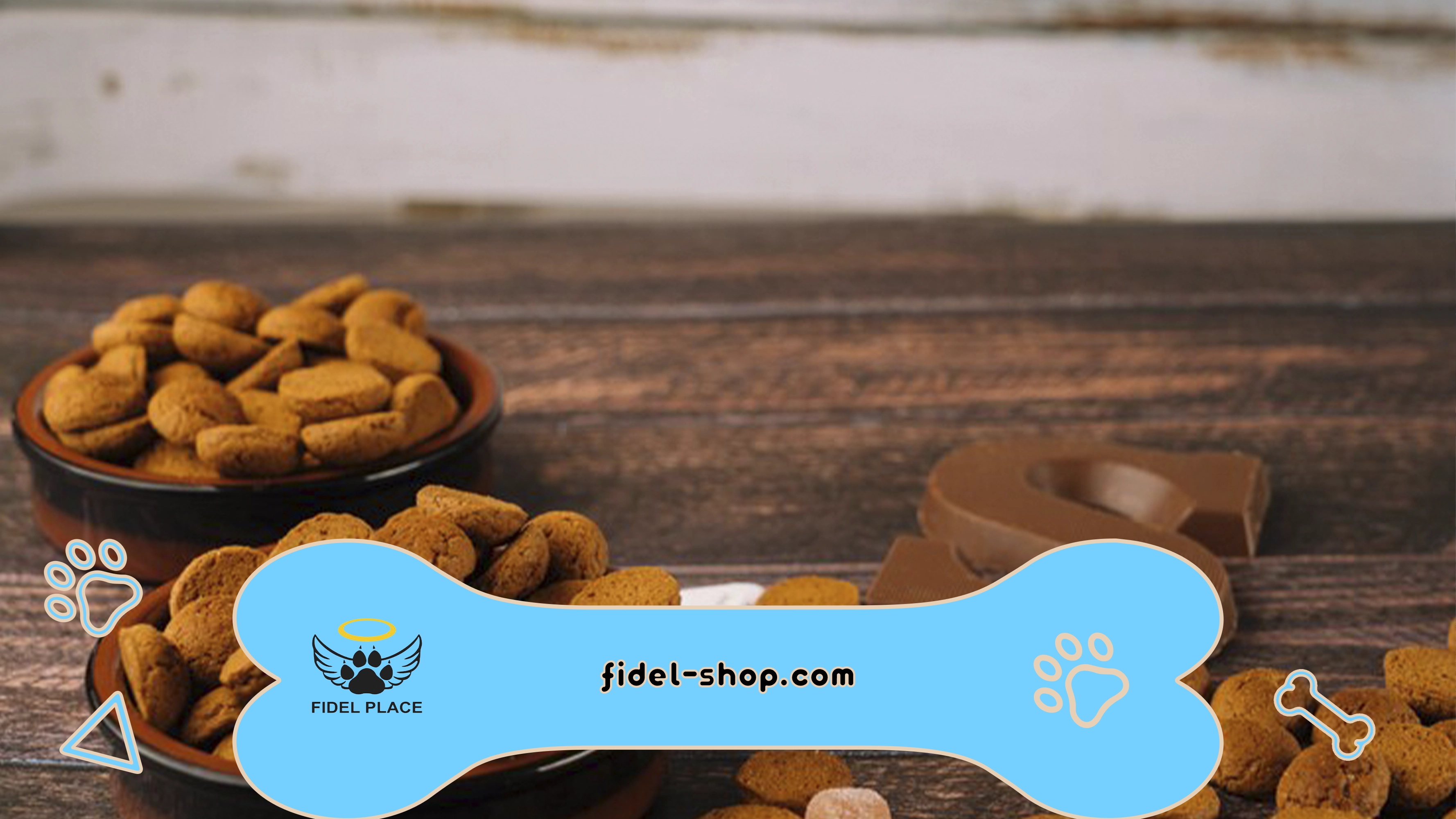 غذای سگ بالغ