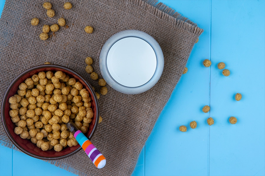 غذای بچه گربه خیابانی