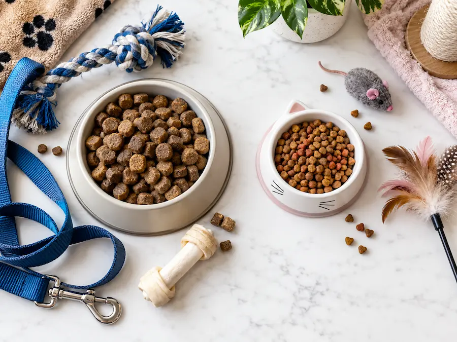 عوارض خوردن غذای گربه برای سگ